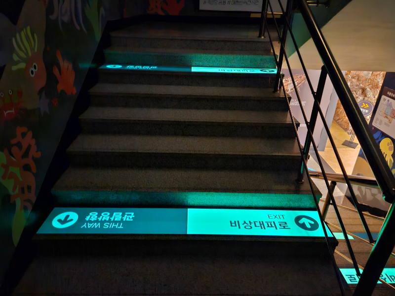 KakaoTalk_20250424_141417972_02.jpg