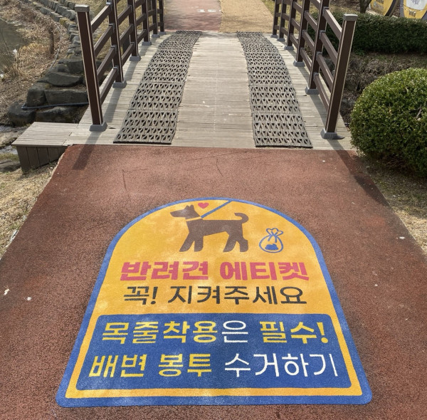 영월 반려견 프리폼